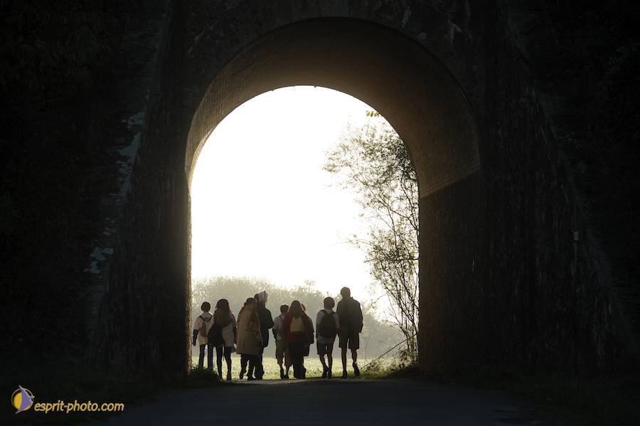 Nom de l'image : D30082932_1_(c)Norbert-JUNG — Description :